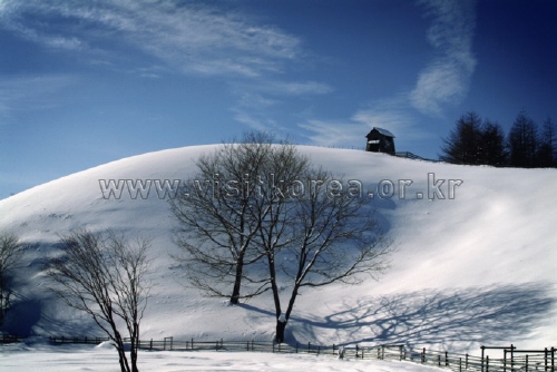 韩国的冬季风景<br>(한국의 겨울풍경)