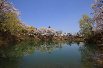 Gold Prize - Spring at Deokcheonseowon Confucian Academy (Geochang-gun, Gyeongsangnam-do)
