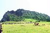 Seongsan Ilchulbong Peak, UNESCO Natural Heritage Site