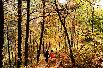 Strolling along Mount Jirisan's Dullegil Trail in the fresh autumn air
