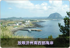 放眼美丽的济州南西部海岸