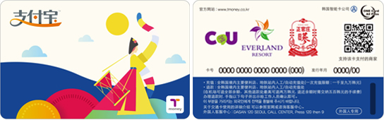 支付宝 Tmoney卡