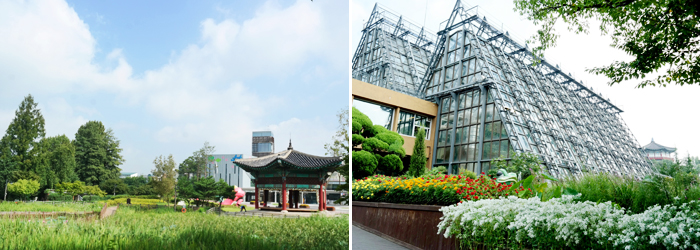 都市中心的自然乐园 – 首尔儿童大公园
