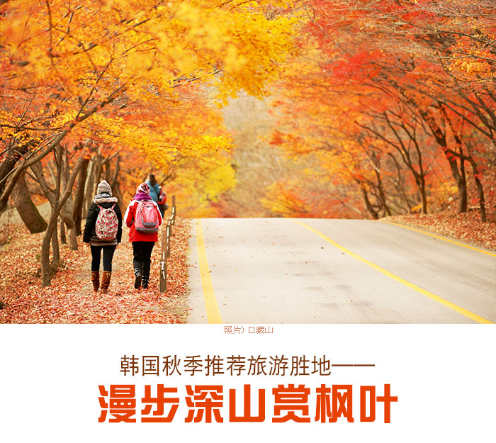 韩国秋季推荐旅游胜地——漫步深山赏枫叶