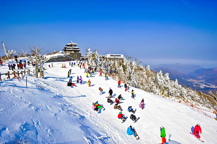 照片)在茂朱德裕山度假村享受滑雪乐趣的游客