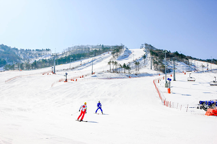 照片)Alpensia度假村滑雪场