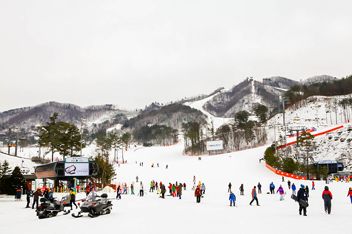 照片)橡树谷滑雪场