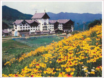 茂朱渡假村