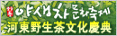 河東野生茶文化慶典