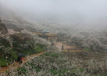 Maehwa Village