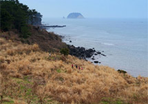 Jeju Olle Trail