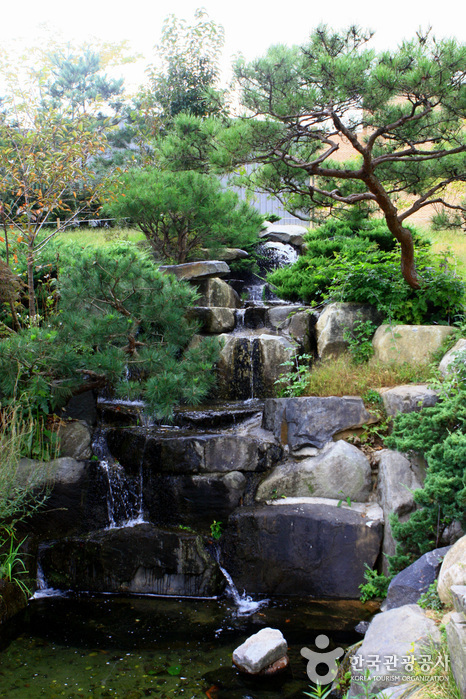 Mulhyanggi Arboretum (물향기수목원)