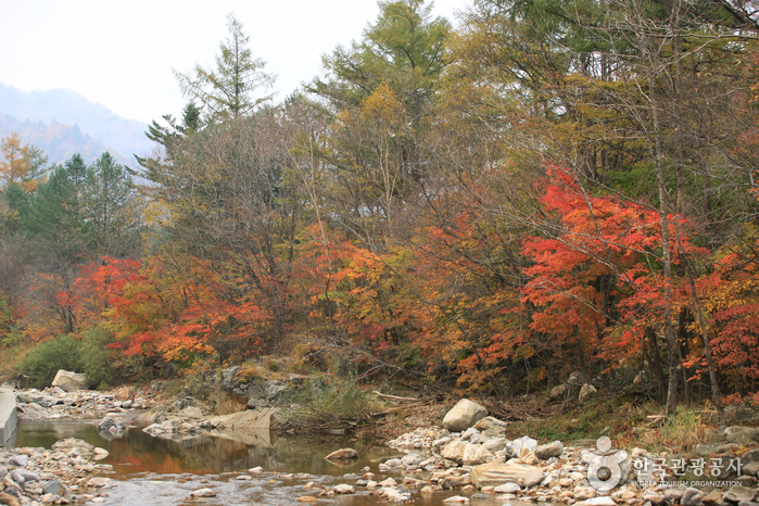 오대산국립공원 사진5