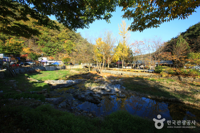 Dalgi Yaksutang (Mineral Spring) (달기약수탕)