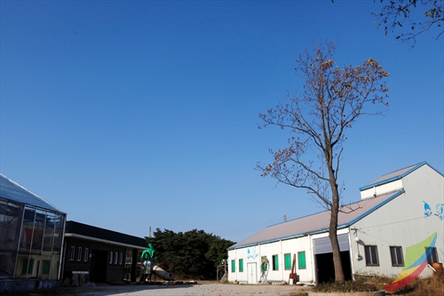 Borinara Hagwon Farm (보리나라 학원농장)
