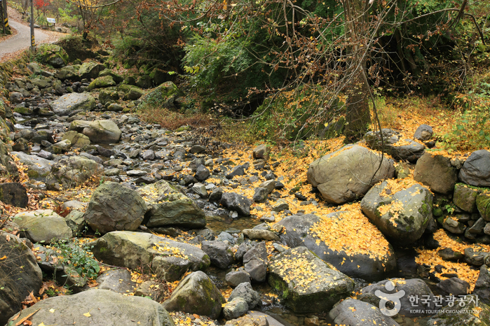 Parc national du Mt. Mudeungsan (무등산국립공원)