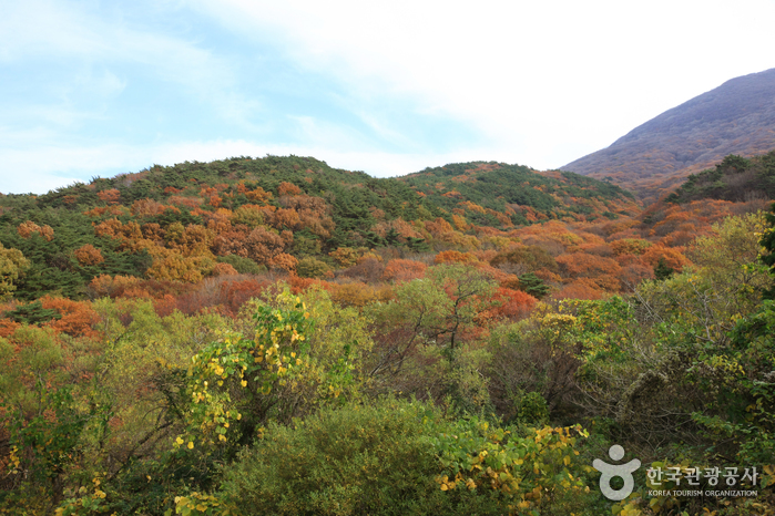 Mudeungsan National Park (무등산국립공원)