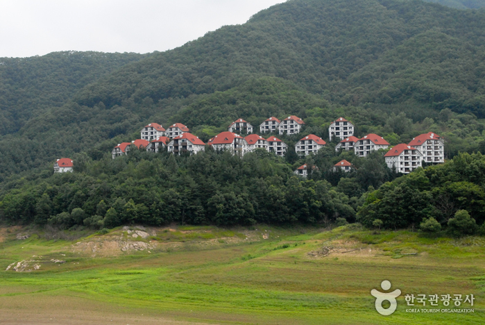 Chungjuho Resort (충주호리조트)