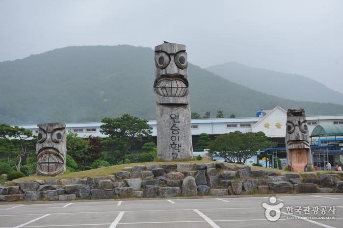 扶安猴子學校自然史博物館(부안 원숭이학교 자연사박물관)0