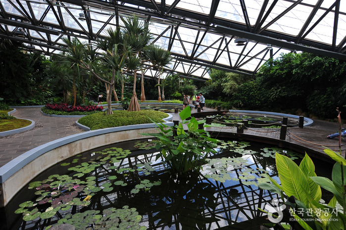Botanischer Garten Yeomiji (여미지식물원)