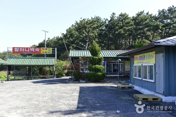 할머니백숙 음식점 정보와 주변 관광 명소 및 근처 맛집 여행 정보