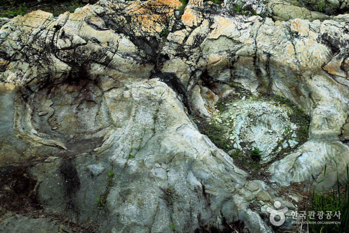 Sitio de Fósiles de Dinosaurio de Uhang-ri (우항리 공룡화석자연사유적지)