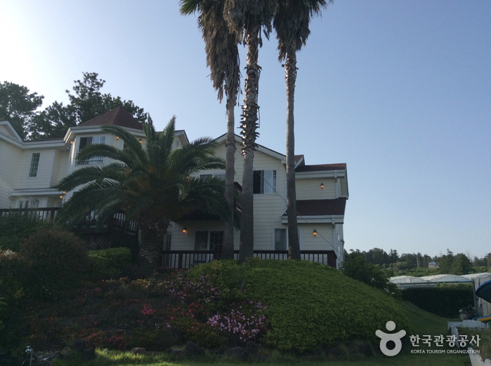 제주 나폴리펜션0