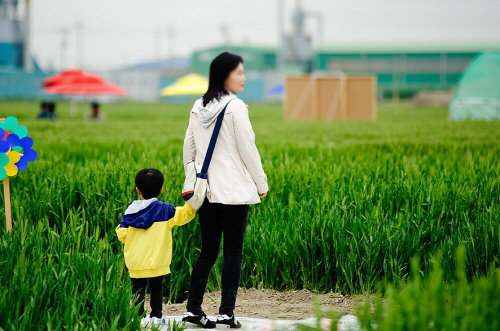 군산 꽁당보리축제 20190