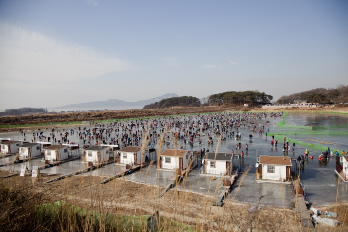 Ganghwa Icefish Festival (강화빙어축제)