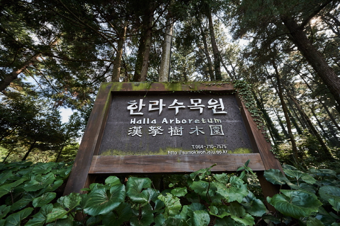 Halla Arboretum (한라수목원)