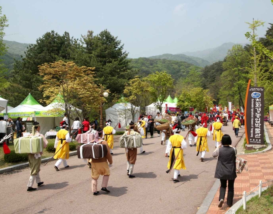 Festival de Vegetales del Monte Yongmunsan en Yangpyeong (양평 용문산 산나물축제)