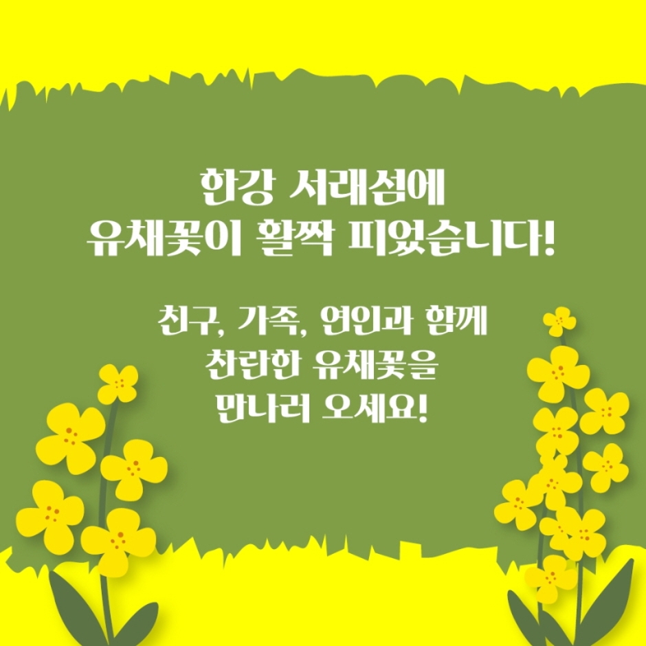 thumbnail-한강 서래섬 유채꽃 축제-13