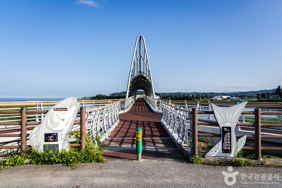 Uljin Euneo Bridge (울진은어다리)