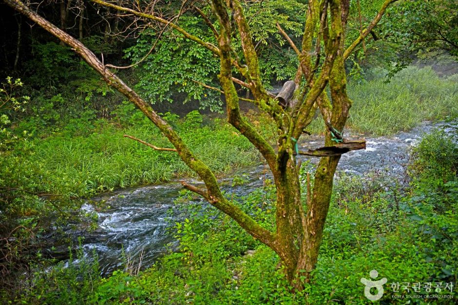 덕산계곡