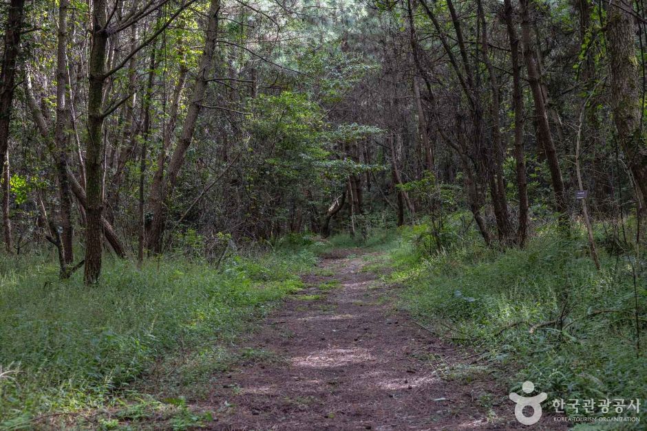 thumbnail-제주자연생태공원-8