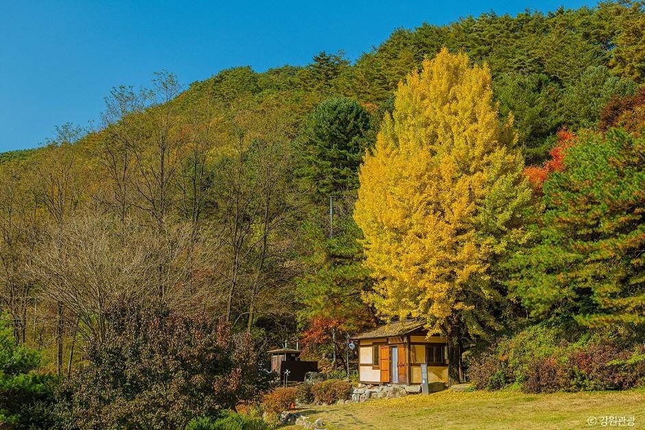 영월_난고 김삿갓 유적지 (2)