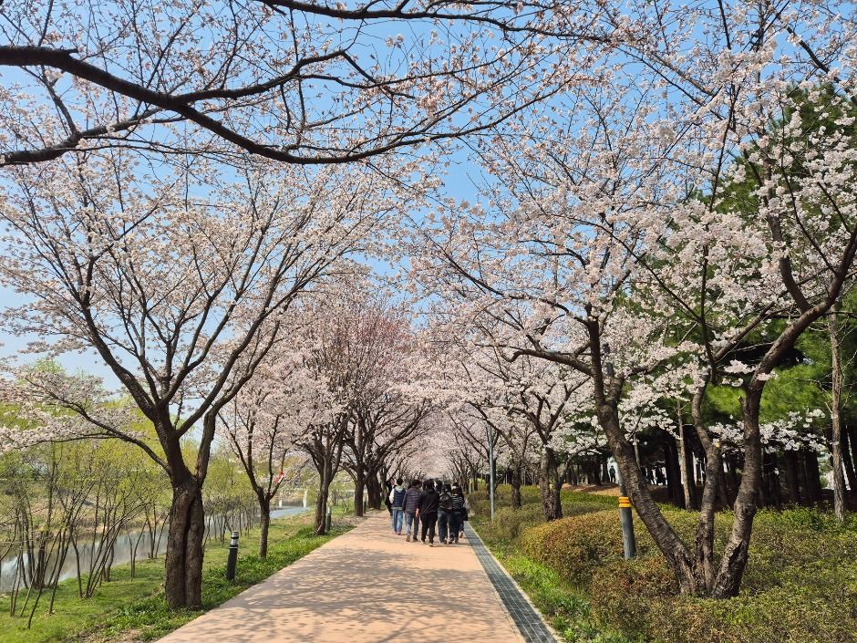 [경기옛길 삼남길 제4길] 서호천길