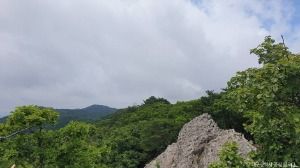 대구_최정산 (6)