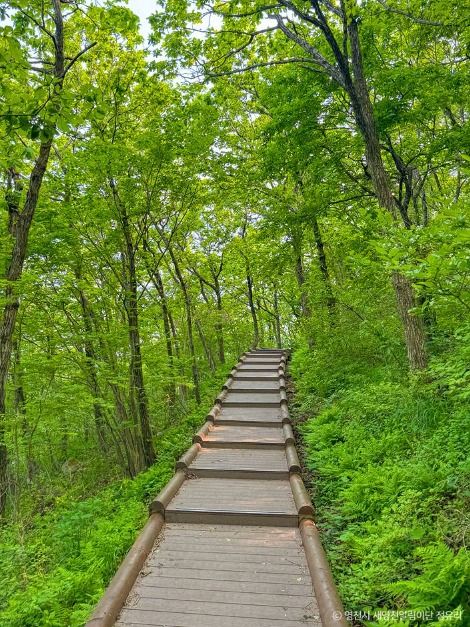 보현산(영천)