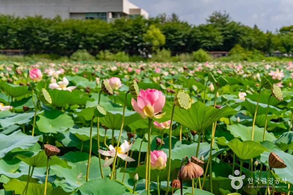 봉담호수공원