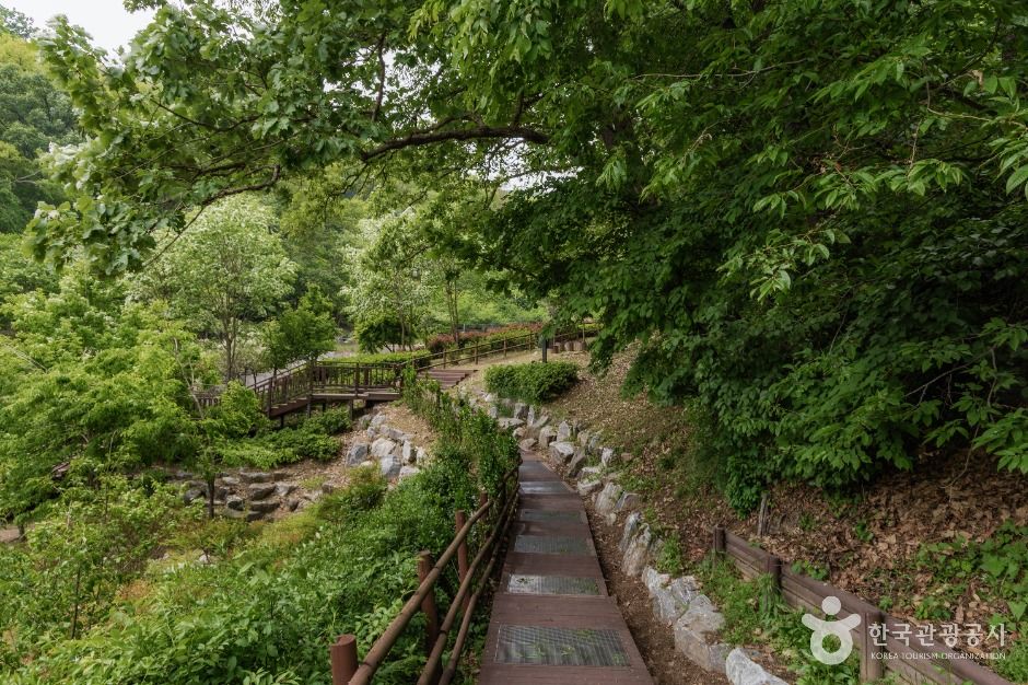 우면산자연생태공원