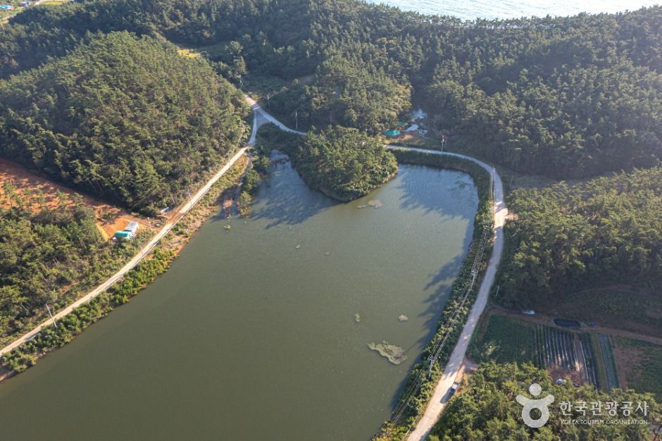 태안_모항저수지 (5)