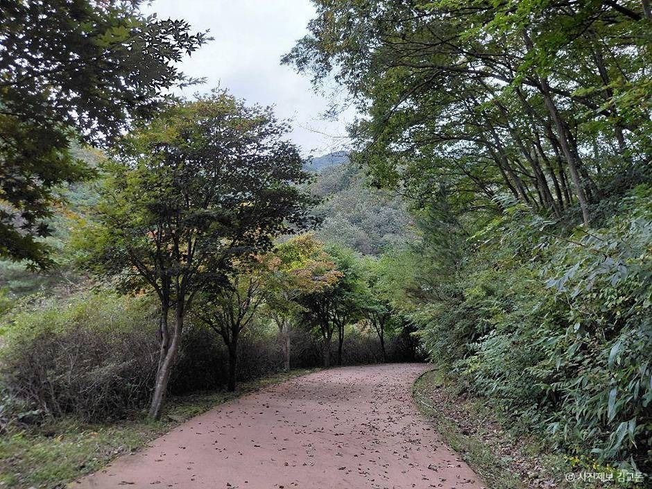 thumbnail-방화동자연휴양림·가족휴가촌-1