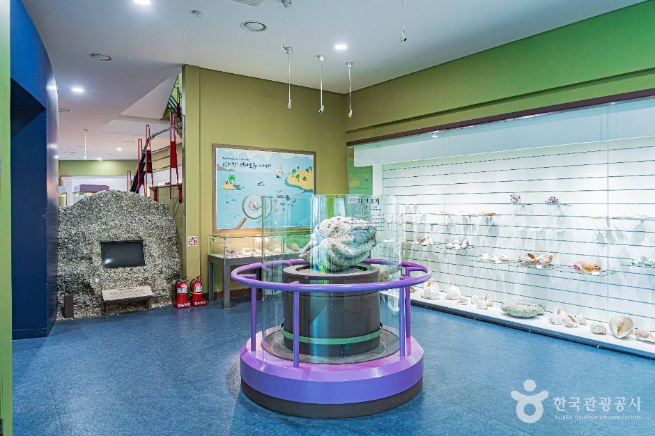 진도_진도해양생태관 (6)