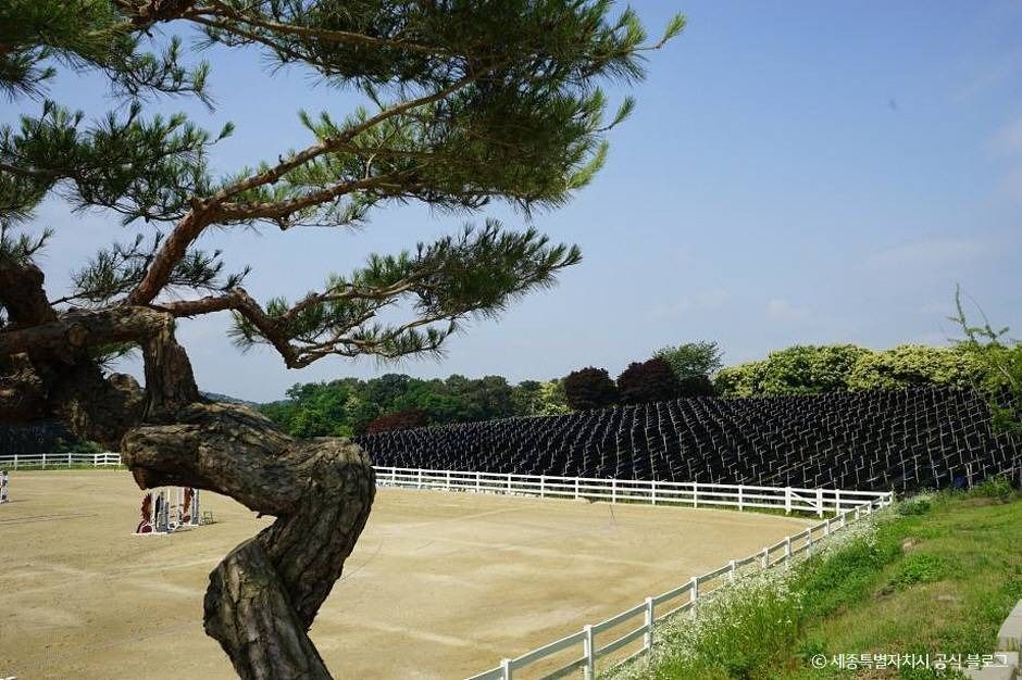 세종_세종스테이블 (5)