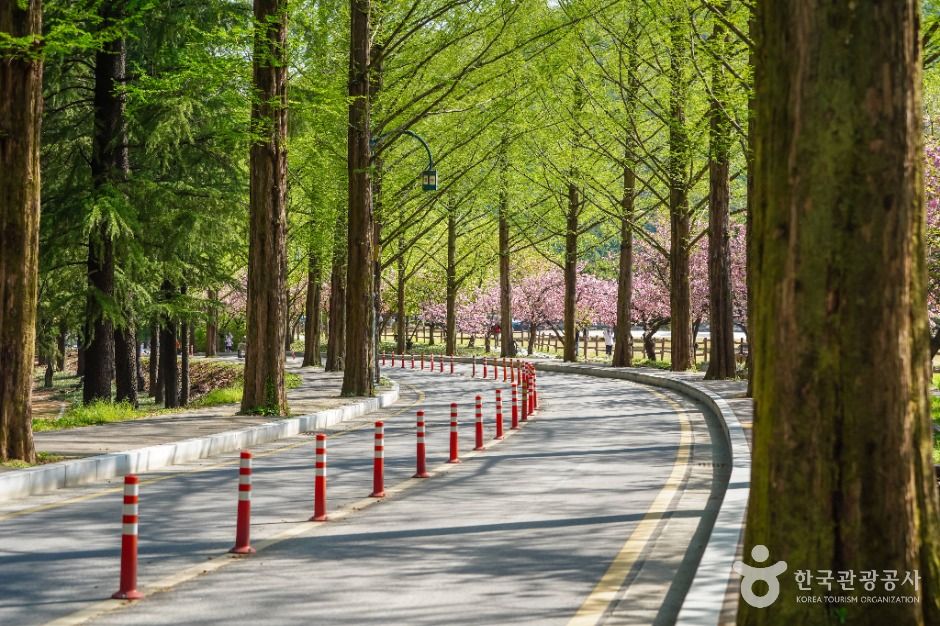 thumbnail-금오산도립공원-1