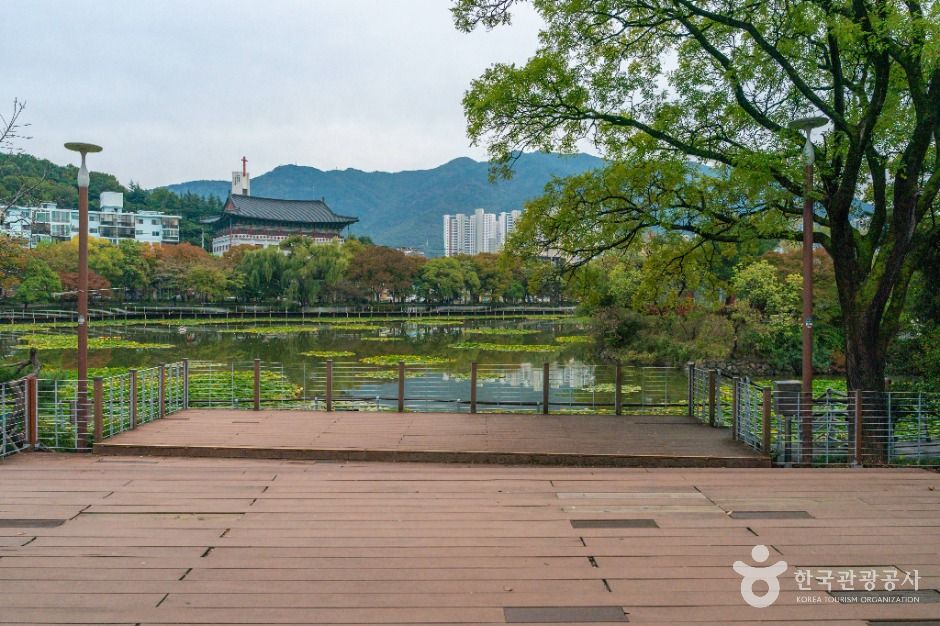 thumbnail-성당못-4