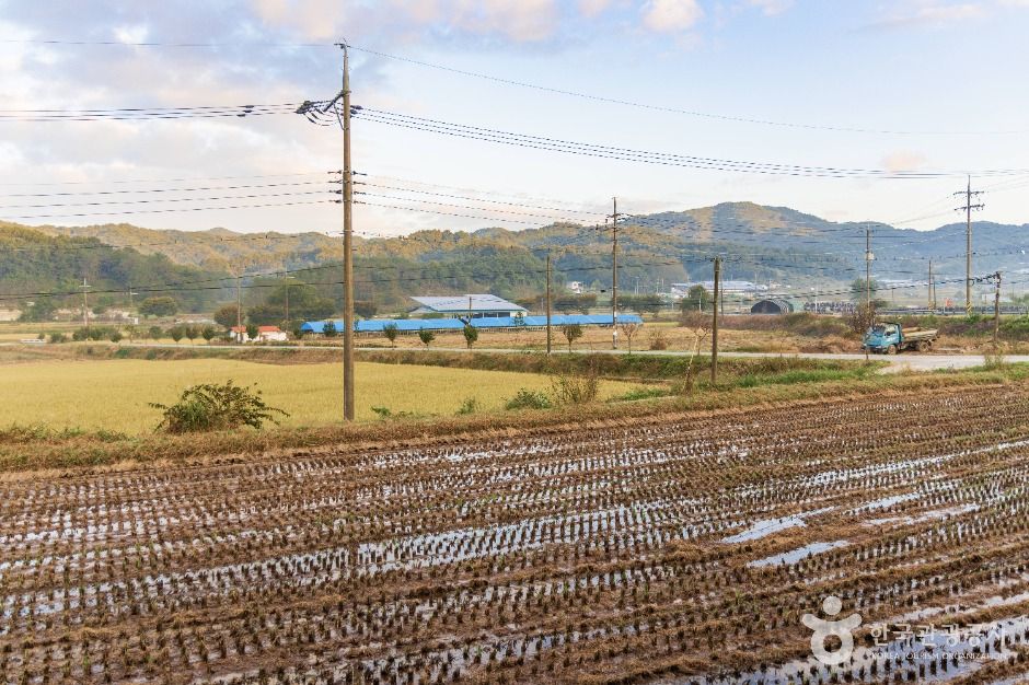 thumbnail-백마권역마을-6