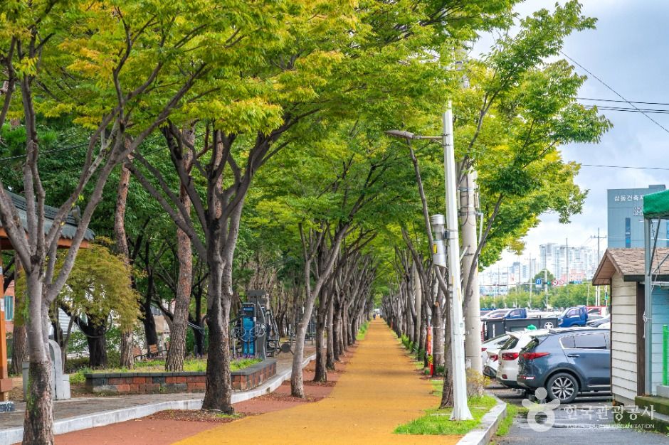 대구_달서천 자전거 광장 (3)