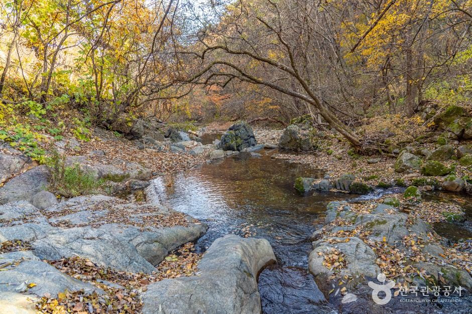 용담사계곡